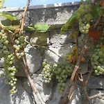 Rabenseifner - Opatija Jurdani