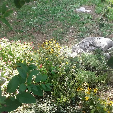 Vikendica Rabenseifner - Opatija *