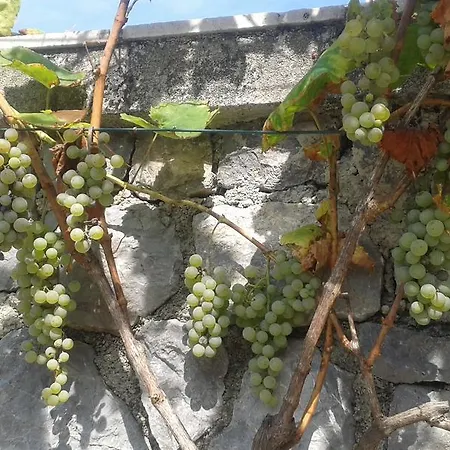 Rabenseifner - Opatija Jurdani