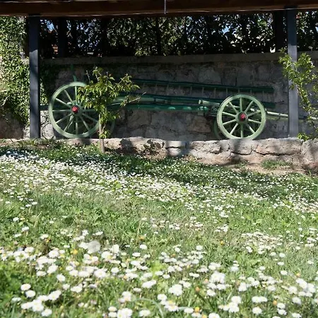Rabenseifner - Opatija Vikendica *