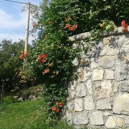 Holiday home Rabenseifner - Opatija