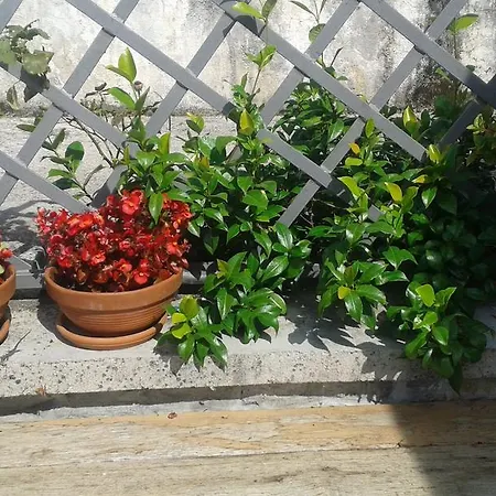Prázdninový dům Rabenseifner - Opatija *