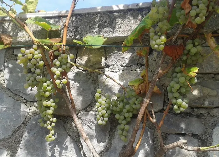 Rabenseifner - Opatija Jurdani