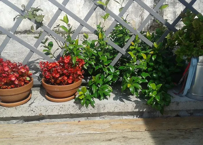 Tatil Evi Rabenseifner - Opatija *